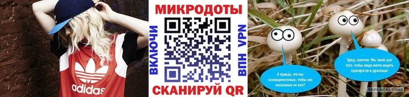 закладка  Лысково  Галлюциногенные грибы Psilocybe 